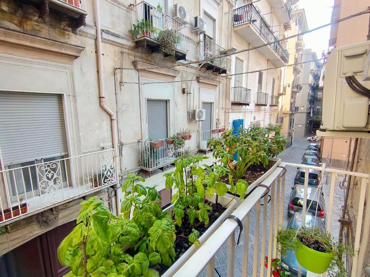 Hacienda Apartment